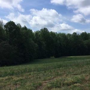 Photo of REDUCED!  144 Acres of Hunting and Farm Land For Sale in Halifax County VA!