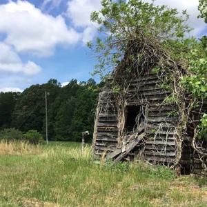 Photo of REDUCED!  144 Acres of Hunting and Farm Land For Sale in Halifax County VA!