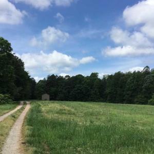 Photo of REDUCED!  144 Acres of Hunting and Farm Land For Sale in Halifax County VA!