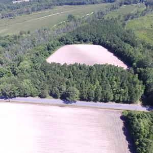 Photo of UNDER CONTRACT!  15 Acres of Farm and Hunting Land For Sale in Isle of Wight County Virginia!