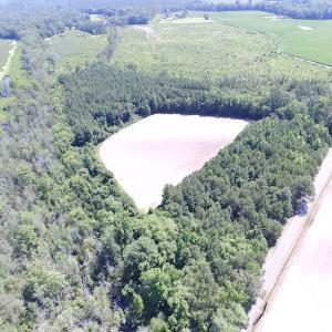 Photo of UNDER CONTRACT!  15 Acres of Farm and Hunting Land For Sale in Isle of Wight County Virginia!
