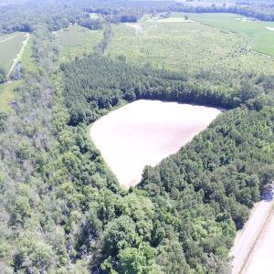 Photo of UNDER CONTRACT!  15 Acres of Farm and Hunting Land For Sale in Isle of Wight County Virginia!