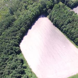 Photo of UNDER CONTRACT!  15 Acres of Farm and Hunting Land For Sale in Isle of Wight County Virginia!