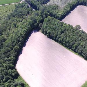 Photo of UNDER CONTRACT!  15 Acres of Farm and Hunting Land For Sale in Isle of Wight County Virginia!