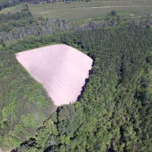 Photo of UNDER CONTRACT!  15 Acres of Farm and Hunting Land For Sale in Isle of Wight County Virginia!