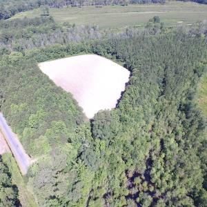 Photo of UNDER CONTRACT!  15 Acres of Farm and Hunting Land For Sale in Isle of Wight County Virginia!
