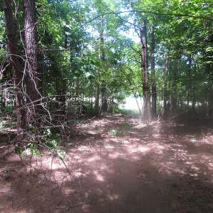 Photo of UNDER CONTRACT!  15 Acres of Farm and Hunting Land For Sale in Isle of Wight County Virginia!