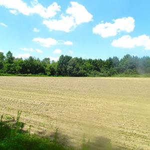 Photo of UNDER CONTRACT!  15 Acres of Farm and Hunting Land For Sale in Isle of Wight County Virginia!