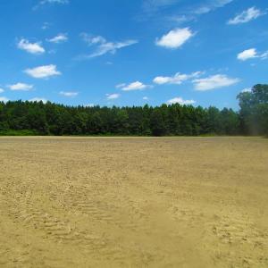 Photo of UNDER CONTRACT!  15 Acres of Farm and Hunting Land For Sale in Isle of Wight County Virginia!