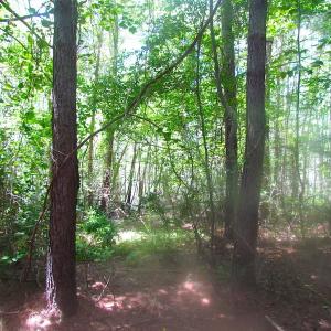 Photo of UNDER CONTRACT!  15 Acres of Farm and Hunting Land For Sale in Isle of Wight County Virginia!