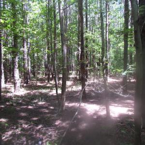 Photo of UNDER CONTRACT!  15 Acres of Farm and Hunting Land For Sale in Isle of Wight County Virginia!