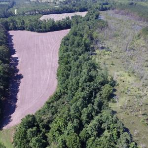 Photo of SOLD!  127 Acres of Farm and Hunting Land on the Blackwater River For Sale in Isle of Wight County Virginia!