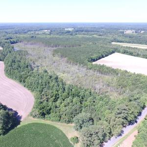 Photo of SOLD!  127 Acres of Farm and Hunting Land on the Blackwater River For Sale in Isle of Wight County Virginia!