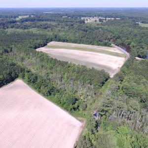 Photo of SOLD!  127 Acres of Farm and Hunting Land on the Blackwater River For Sale in Isle of Wight County Virginia!