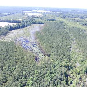 Photo of SOLD!  127 Acres of Farm and Hunting Land on the Blackwater River For Sale in Isle of Wight County Virginia!