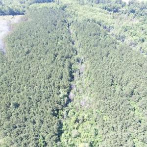 Photo of SOLD!  127 Acres of Farm and Hunting Land on the Blackwater River For Sale in Isle of Wight County Virginia!