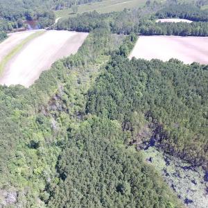 Photo of SOLD!  127 Acres of Farm and Hunting Land on the Blackwater River For Sale in Isle of Wight County Virginia!