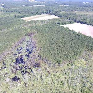 Photo of SOLD!  127 Acres of Farm and Hunting Land on the Blackwater River For Sale in Isle of Wight County Virginia!