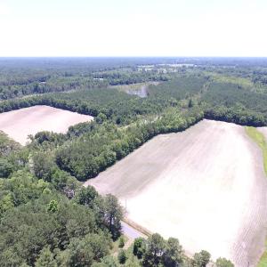 Photo of SOLD!  127 Acres of Farm and Hunting Land on the Blackwater River For Sale in Isle of Wight County Virginia!