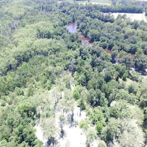 Photo of SOLD!  127 Acres of Farm and Hunting Land on the Blackwater River For Sale in Isle of Wight County Virginia!