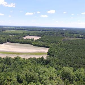 Photo of SOLD!  127 Acres of Farm and Hunting Land on the Blackwater River For Sale in Isle of Wight County Virginia!