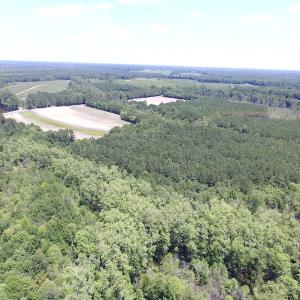 Photo of SOLD!  127 Acres of Farm and Hunting Land on the Blackwater River For Sale in Isle of Wight County Virginia!