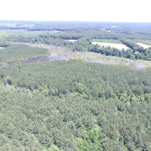 Photo of SOLD!  127 Acres of Farm and Hunting Land on the Blackwater River For Sale in Isle of Wight County Virginia!