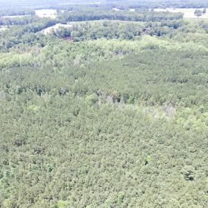 Photo of SOLD!  127 Acres of Farm and Hunting Land on the Blackwater River For Sale in Isle of Wight County Virginia!