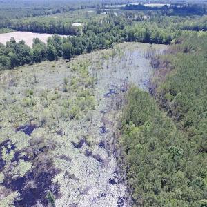 Photo of SOLD!  127 Acres of Farm and Hunting Land on the Blackwater River For Sale in Isle of Wight County Virginia!