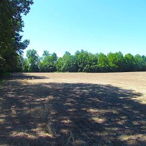 Photo of SOLD!  127 Acres of Farm and Hunting Land on the Blackwater River For Sale in Isle of Wight County Virginia!