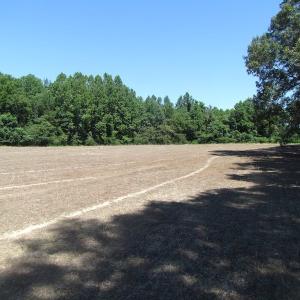Photo of SOLD!  127 Acres of Farm and Hunting Land on the Blackwater River For Sale in Isle of Wight County Virginia!