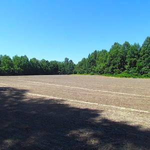 Photo of SOLD!  127 Acres of Farm and Hunting Land on the Blackwater River For Sale in Isle of Wight County Virginia!