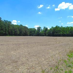 Photo of SOLD!  127 Acres of Farm and Hunting Land on the Blackwater River For Sale in Isle of Wight County Virginia!