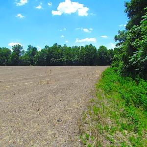 Photo of SOLD!  127 Acres of Farm and Hunting Land on the Blackwater River For Sale in Isle of Wight County Virginia!