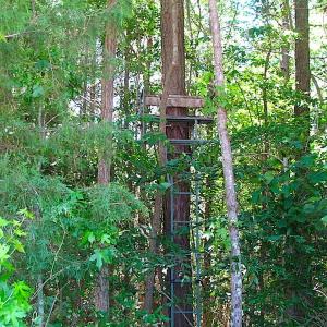 Photo of SOLD!  127 Acres of Farm and Hunting Land on the Blackwater River For Sale in Isle of Wight County Virginia!