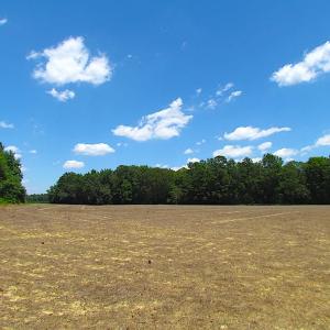 Photo of SOLD!  127 Acres of Farm and Hunting Land on the Blackwater River For Sale in Isle of Wight County Virginia!