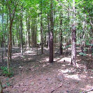 Photo of SOLD!  127 Acres of Farm and Hunting Land on the Blackwater River For Sale in Isle of Wight County Virginia!