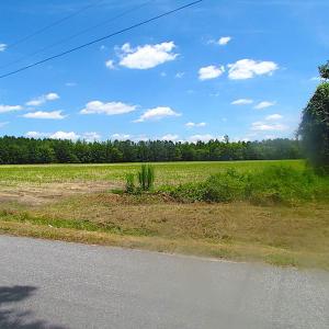 Photo of SOLD!  127 Acres of Farm and Hunting Land on the Blackwater River For Sale in Isle of Wight County Virginia!