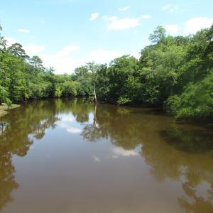 Photo of SOLD!  127 Acres of Farm and Hunting Land on the Blackwater River For Sale in Isle of Wight County Virginia!
