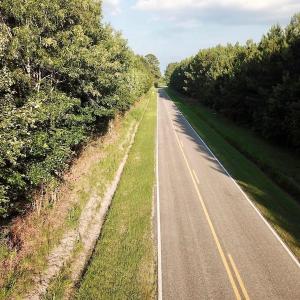 Photo of UNDER CONTRACT!  9.5 Acres of Hunting and Timber Land For Sale in Gates County NC!