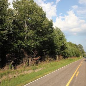 Photo of UNDER CONTRACT!  9.5 Acres of Hunting and Timber Land For Sale in Gates County NC!