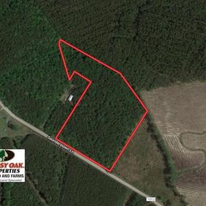 Photo of UNDER CONTRACT!  9.5 Acres of Hunting and Timber Land For Sale in Gates County NC!