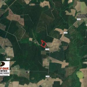 Photo of UNDER CONTRACT!  9.5 Acres of Hunting and Timber Land For Sale in Gates County NC!