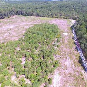 Photo of SOLD!!  222 Acres of Farm and Hunting Land For Sale in Isle of Wight County VA!