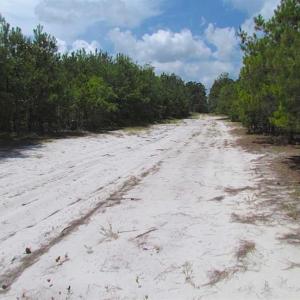 Photo of SOLD!!  222 Acres of Farm and Hunting Land For Sale in Isle of Wight County VA!