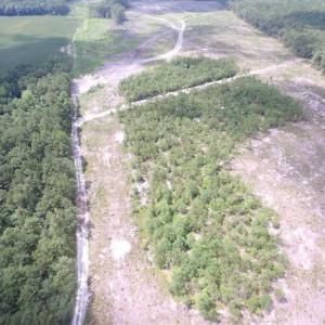 Photo of SOLD!!  222 Acres of Farm and Hunting Land For Sale in Isle of Wight County VA!