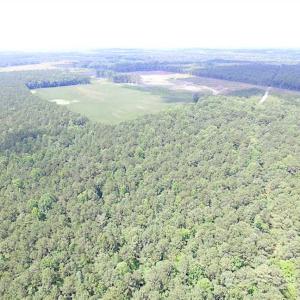 Photo of SOLD!!  222 Acres of Farm and Hunting Land For Sale in Isle of Wight County VA!