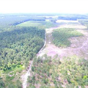 Photo of SOLD!!  222 Acres of Farm and Hunting Land For Sale in Isle of Wight County VA!