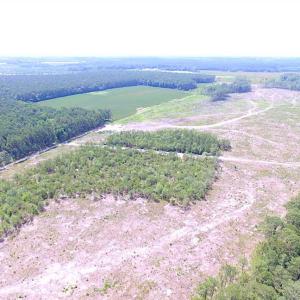 Photo of SOLD!!  222 Acres of Farm and Hunting Land For Sale in Isle of Wight County VA!