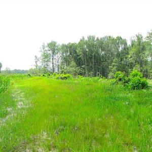 Photo of SOLD!!  222 Acres of Farm and Hunting Land For Sale in Isle of Wight County VA!